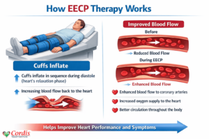 how EECP cuffs inflate and how blood flow improves during treatment